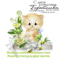 Открытка на день рождения брату 7 лет