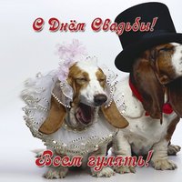Открытка на свадьбу фото прикольная