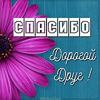 Открытка поблагодарить друга