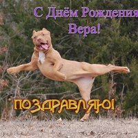 Открытка-поздравление прикольная с днем рождения Вере