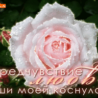 Открытка предчувствие любви