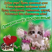 Открытка прекрасного воскресного дня