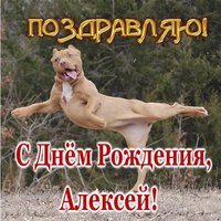 Открытка прикольная с днем рождения Алексей