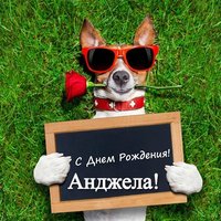 Открытка прикольная с днем рождения Анжела