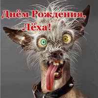 Открытка прикольная с днем рождения Леха