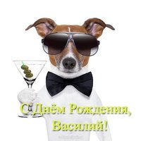 Открытка прикольная с днем рождения Василий