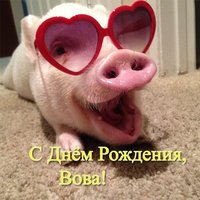 Открытка прикольная с днем рождения Вова