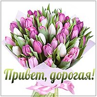 Открытка привет дорогая