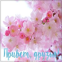 Открытка привет друзьям