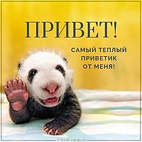Открытка привет от меня