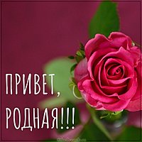 Открытка привет родная