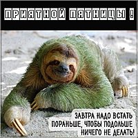 Открытка приятной пятницы