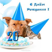 Открытка с 20 летием парню прикольная