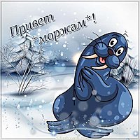 Открытка с днем моржа