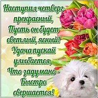 Открытка с днем недели четверг