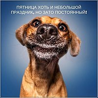 Открытка с днем пятницы
