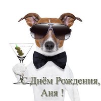 Открытка с днем рождения Аня прикольная