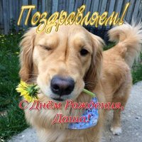 Открытка с днем рождения Даша прикольная