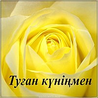Открытка с днем рождения девушке на казахском