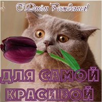 Открытка с днем рождения девушке прикольная