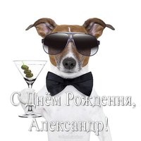 Открытка с днем рождения для Александра прикольная
