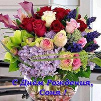 Открытка с днем рождения для Сони
