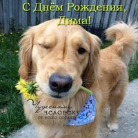 Открытка с днем рождения Дмитрий прикольная