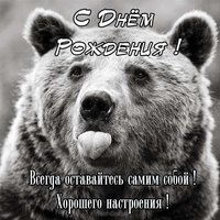 Открытка с днем рождения мужчине с медведем
