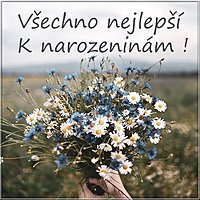 Открытка с днем рождения на чешском языке