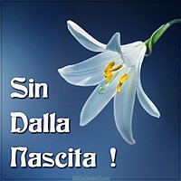 Открытка с днем рождения на итальянском языке