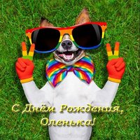 Открытка с днем рождения Оленька фото