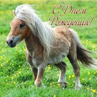 Открытка с днем рождения пони