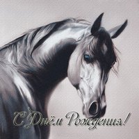 Открытка с днем рождения с конем