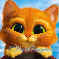 Открытка с днем рождения с кошками