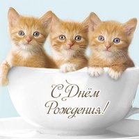 Открытка с днем рождения с котятами