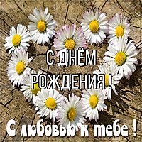Открытка с днем рождения с красивыми цветами ромашками