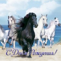 Открытка с днем рождения с лошадьми
