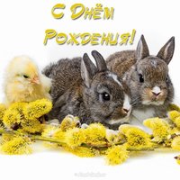 Открытка с днем рождения с зайкой