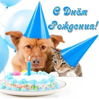 Открытка с днем рождения с животными