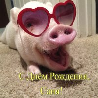 Открытка с днем рождения Саше фото