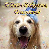 Открытка с днем рождения сестре прикольная смешная