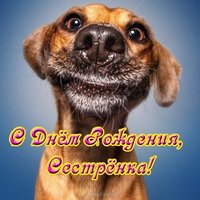 Открытка с днем рождения сестре прикольная