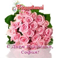 Открытка с днем рождения София