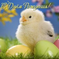 Открытка с днем рождения цыпленок