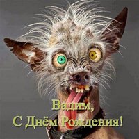 Открытка с днем рождения Вадиму прикольная