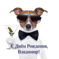 Открытка с днем рождения Владимир