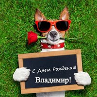 Открытка с днем рождения Владимиру прикольная