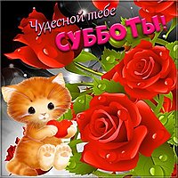 Открытка с днем субботы