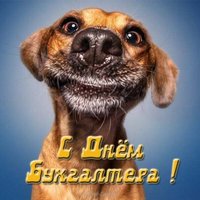 Открытка с днём бухгалтера прикольная