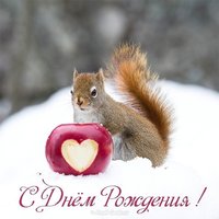 Открытка с днём рождения белка
